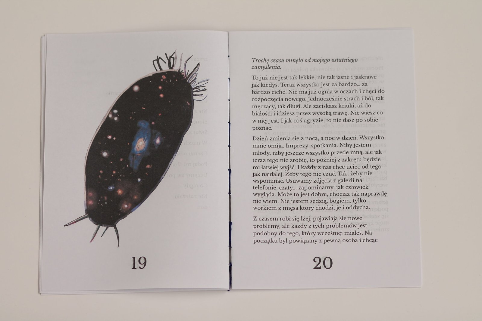 Zin Grzechotnik - obrazek 4