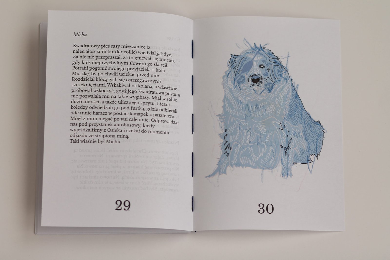 Zin Grzechotnik - obrazek 6